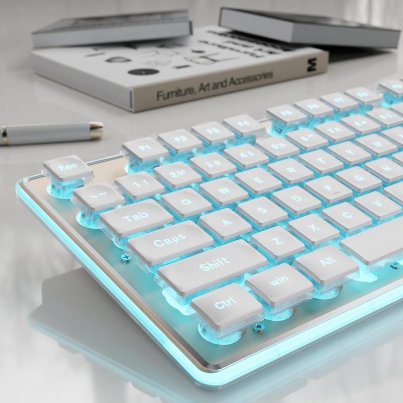 SEUNKWANG GX710S Backlit Computer Keyboards, Wired USB Keyboard with Blue Backlit, Metal Panel, Plug and Play, Pudding Keycaps Full Size Quite Computer Keyboard for Win/PC/Laptop-White - Image 1